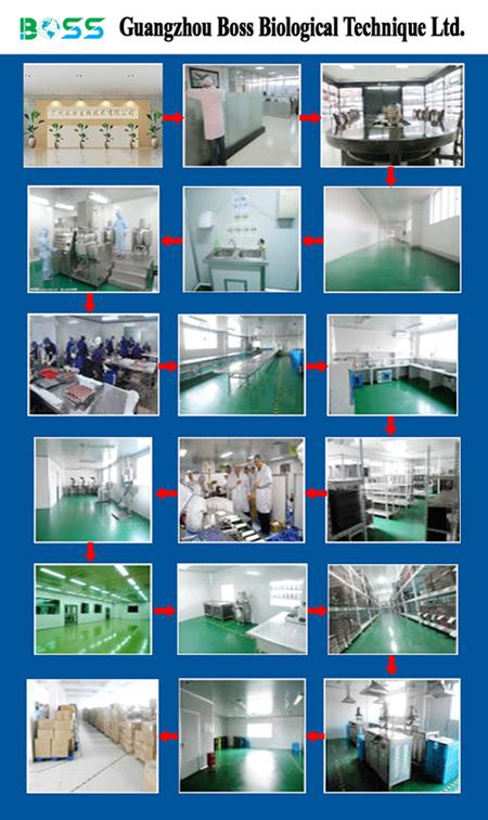 Φυσικό Οργανικό 10ml Μαγικό Μασκάρα Μασκάρες Επέκταση Μασκάρα 0